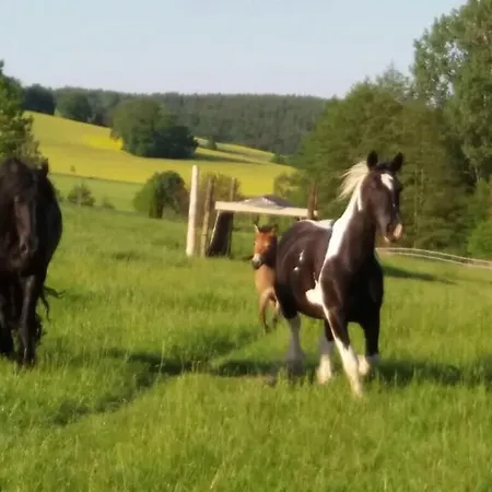 Ferienwohnung Auf Dem Resthof * 아르젠
