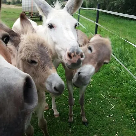 Ferienwohnung Auf Dem Resthof *